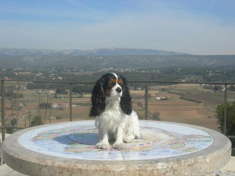 Cardiff de la Bastide du Jas de Jeromes