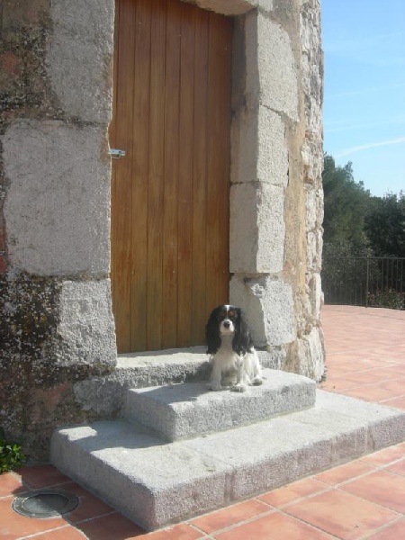 Cardiff de la Bastide du Jas de Jeromes