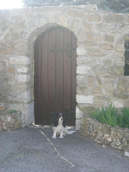 Cardiff de la Bastide du Jas de Jeromes