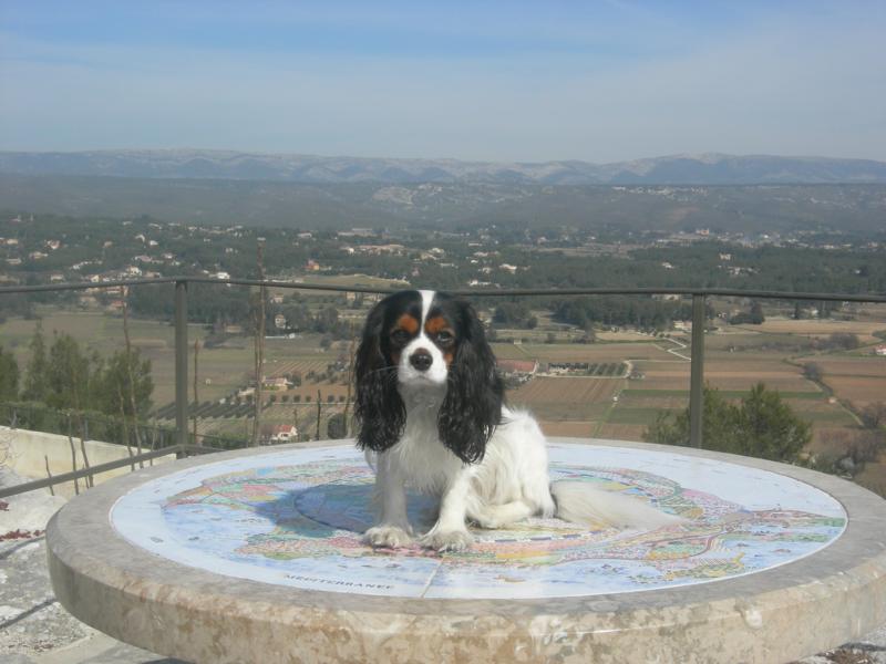 Cardiff de la Bastide du Jas de Jeromes