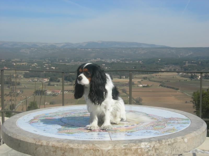 Cardiff de la Bastide du Jas de Jeromes