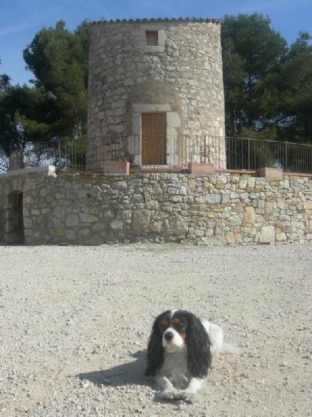 Cardiff de la Bastide du Jas de Jeromes