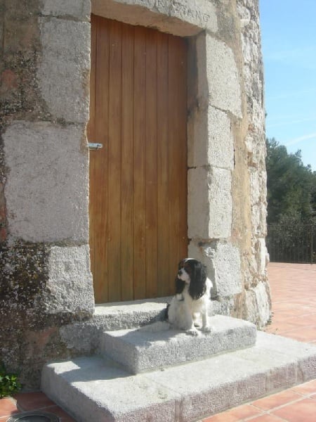 Cardiff de la Bastide du Jas de Jeromes