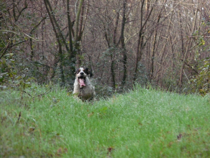 TR. Boris du Parc des Chaumes