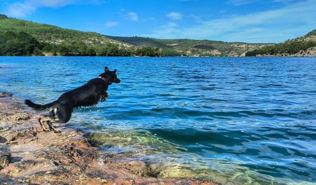 Sao des Crocs de Provence