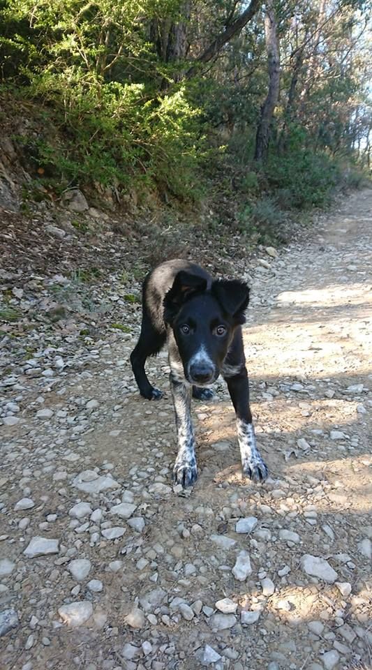 Occhiolino des Crocs de Provence