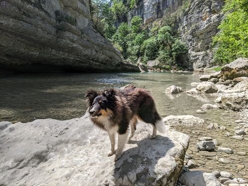 Super rocky brun des Crocs de Provence