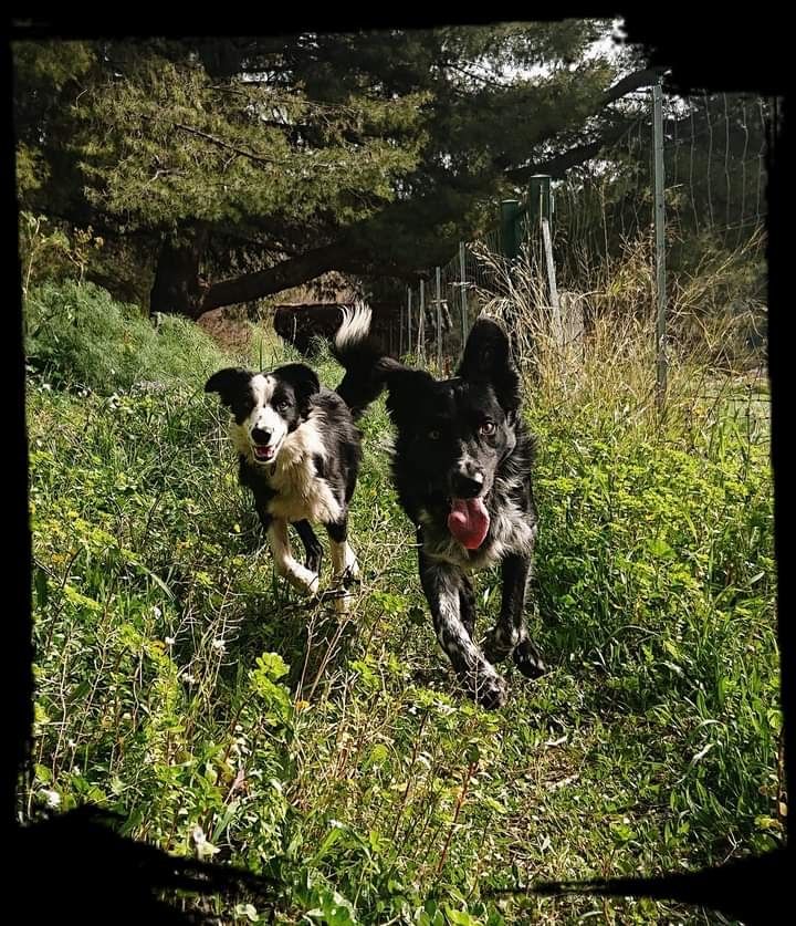 Occhiolino des Crocs de Provence