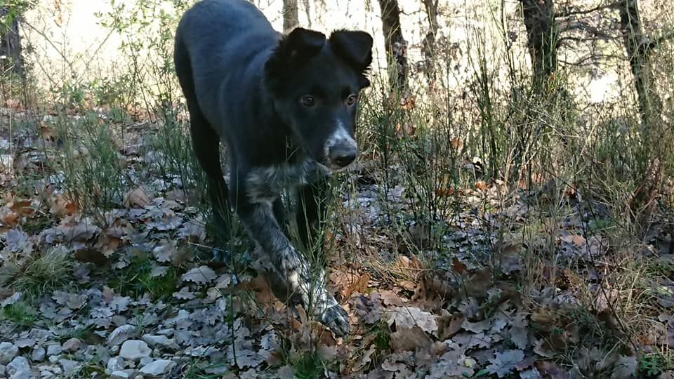 Occhiolino des Crocs de Provence