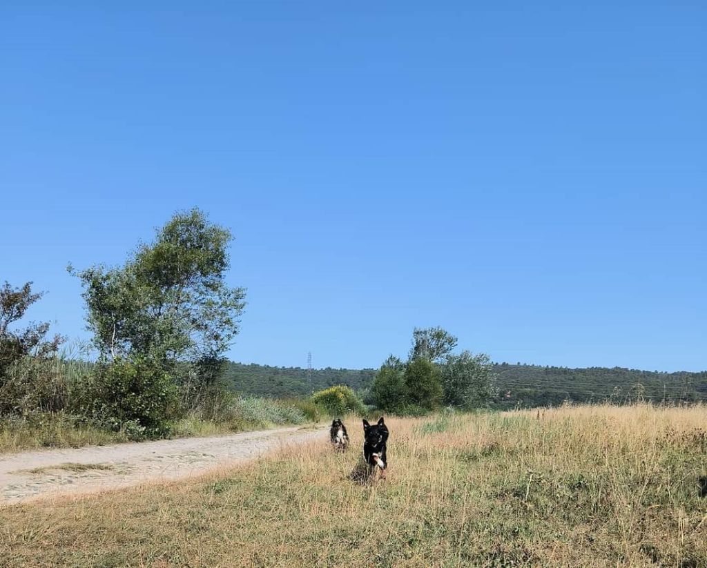 Sao des Crocs de Provence