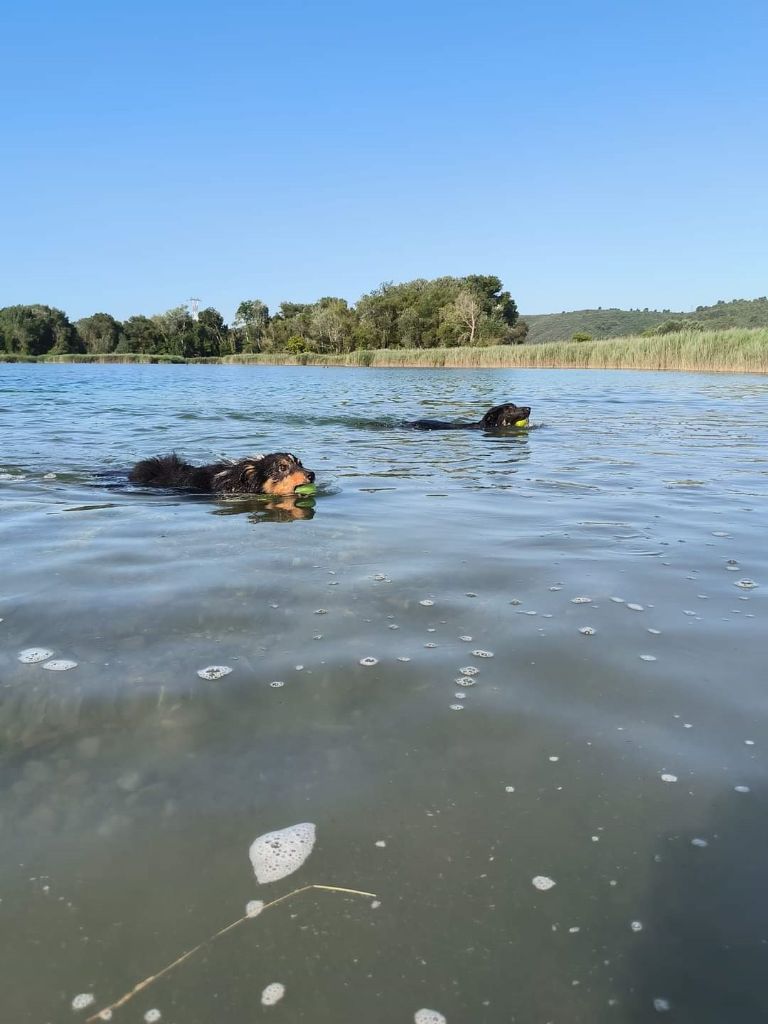 Sao des Crocs de Provence