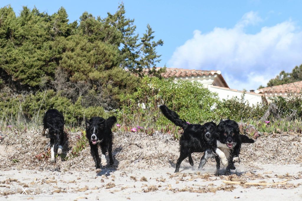 Occhiolino des Crocs de Provence