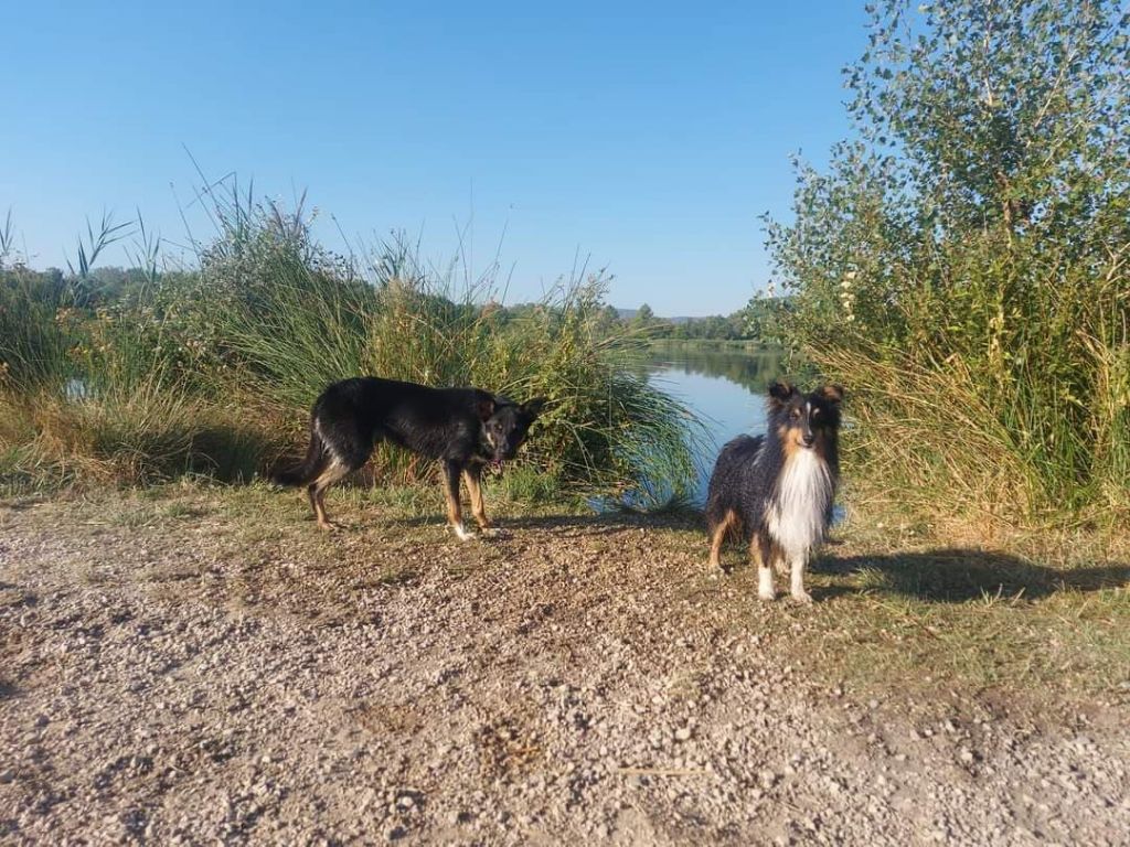 Sao des Crocs de Provence