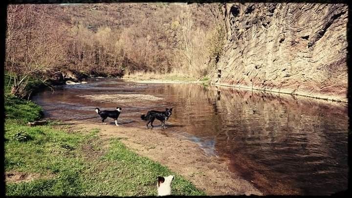 Occhiolino des Crocs de Provence