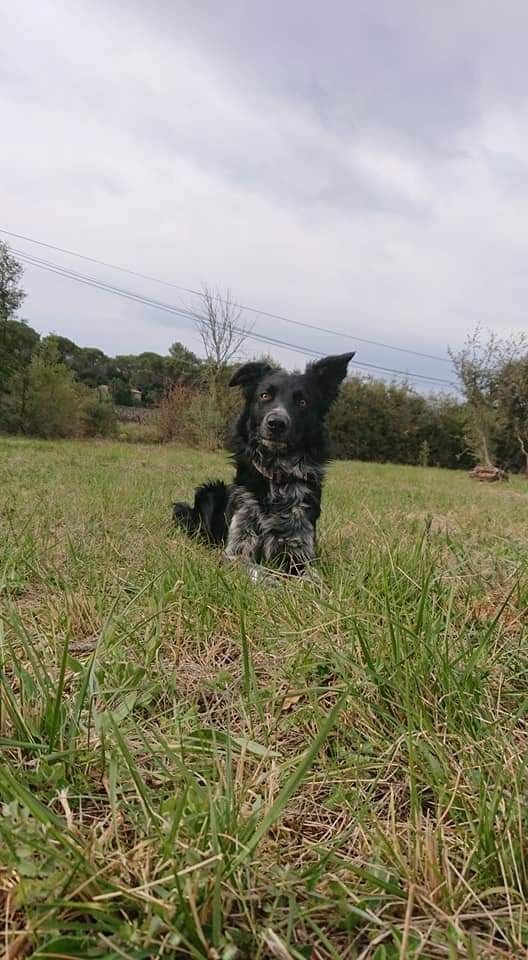 Occhiolino des Crocs de Provence