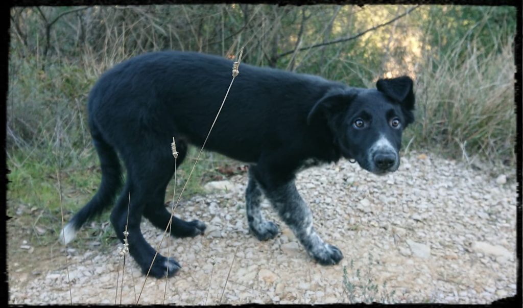 Occhiolino des Crocs de Provence