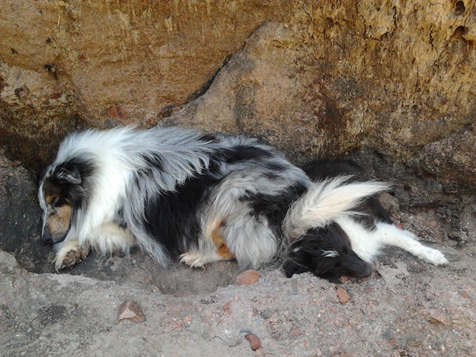 Idylle noire des Crocs de Provence