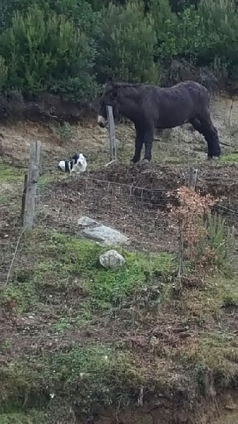 In extrémis des Crocs de Provence