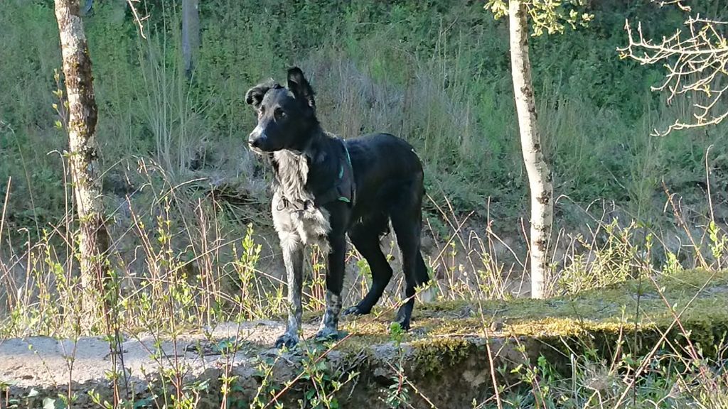 Occhiolino des Crocs de Provence