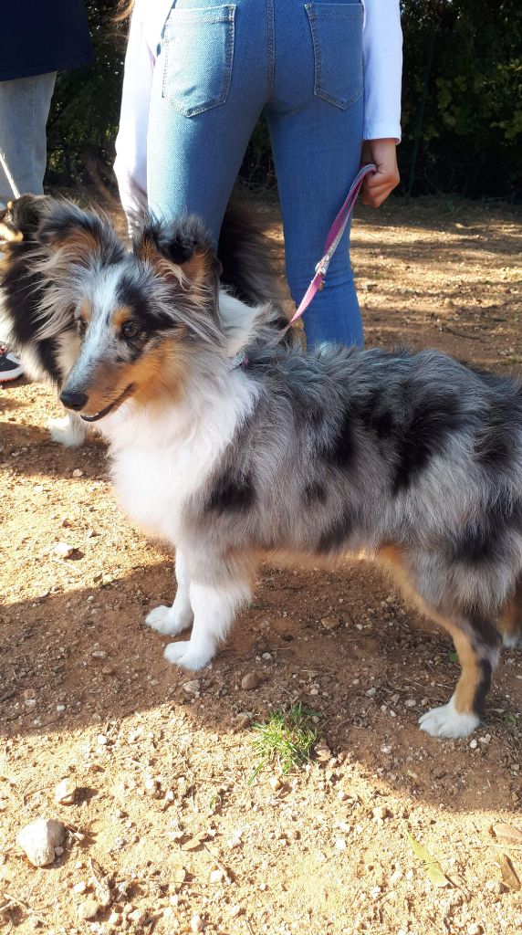 Rmione granger bleue des Crocs de Provence