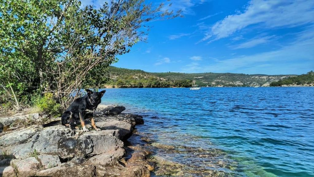 Sao des Crocs de Provence