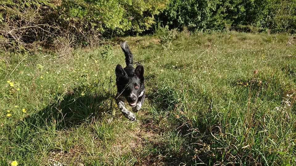 Occhiolino des Crocs de Provence