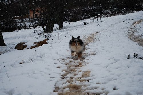 Jen bleue des Crocs de Provence