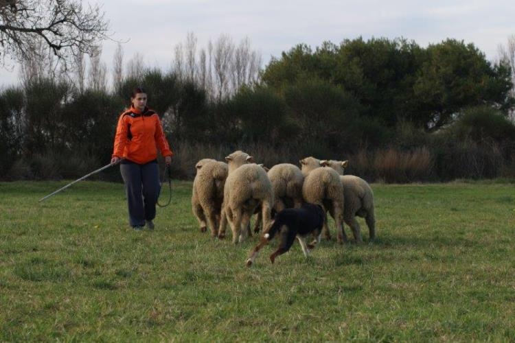 Greta dite gin des Crocs de Provence