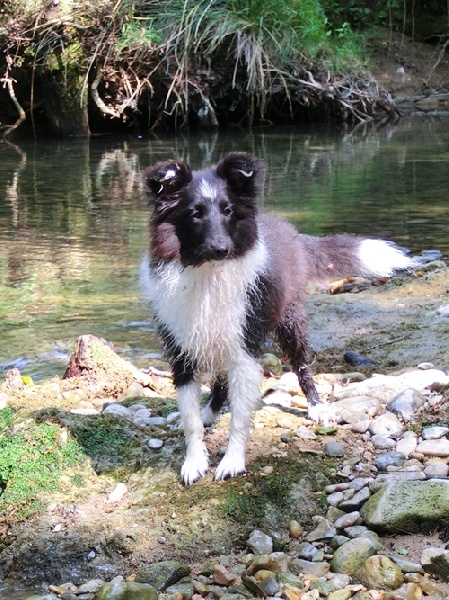 Idylle noire des Crocs de Provence