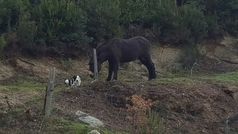 In extrémis des Crocs de Provence