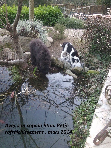 In extrémis des Crocs de Provence