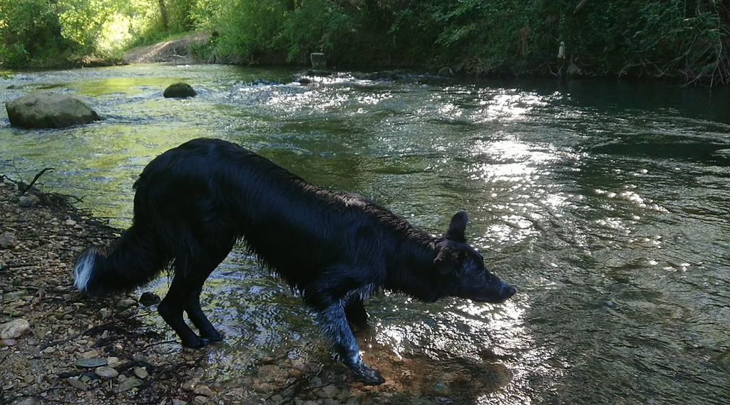 Occhiolino des Crocs de Provence