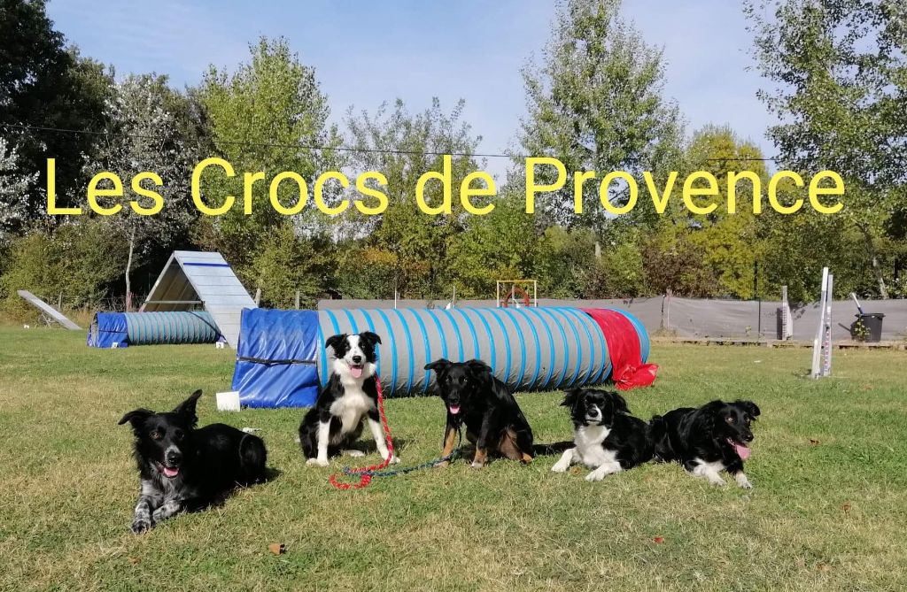 Occhiolino des Crocs de Provence