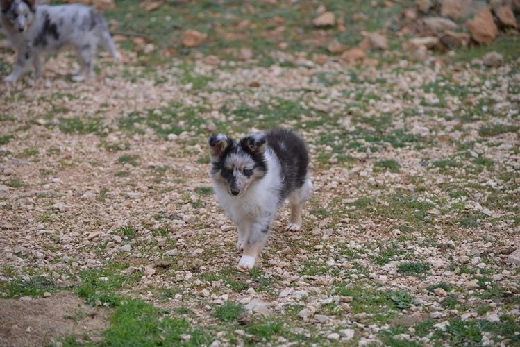 Jen bleue des Crocs de Provence