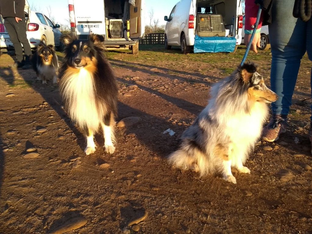 Olga papillon bleue des Crocs de Provence