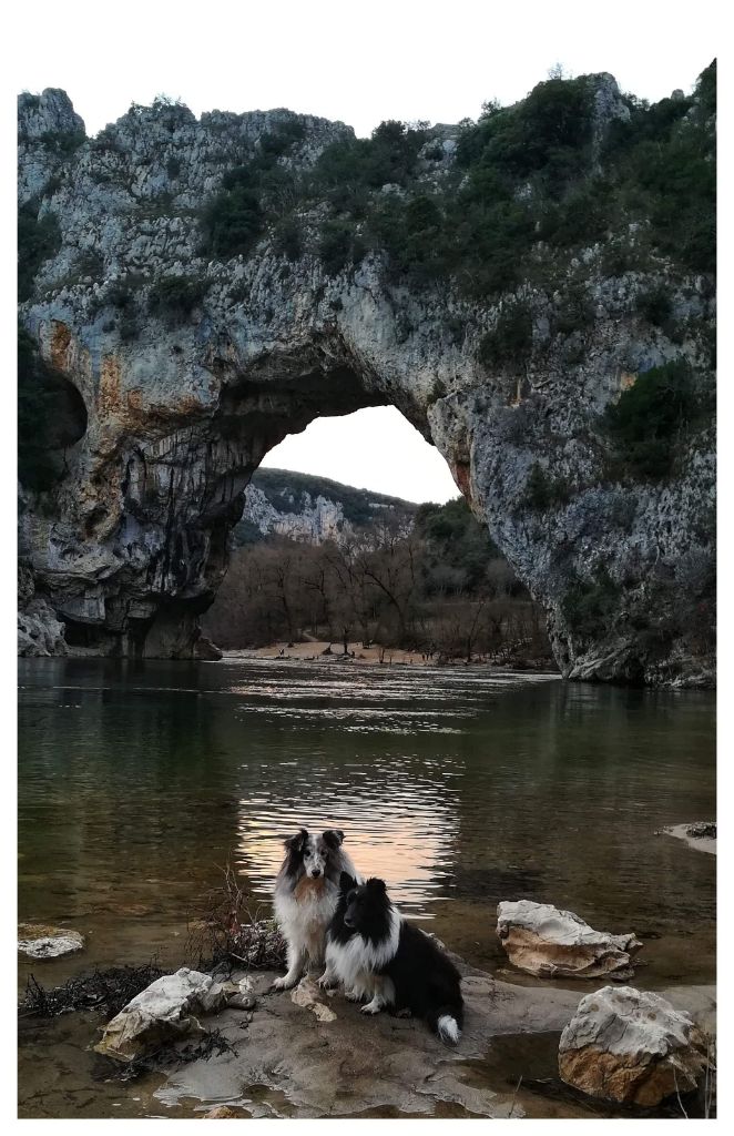 Idylle noire des Crocs de Provence