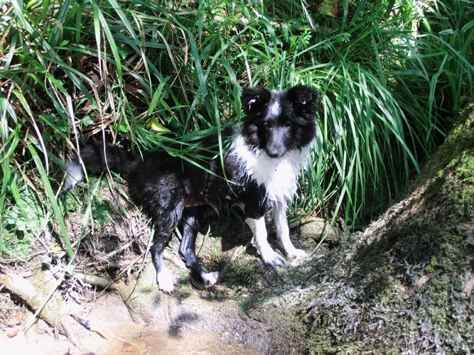 Idylle noire des Crocs de Provence