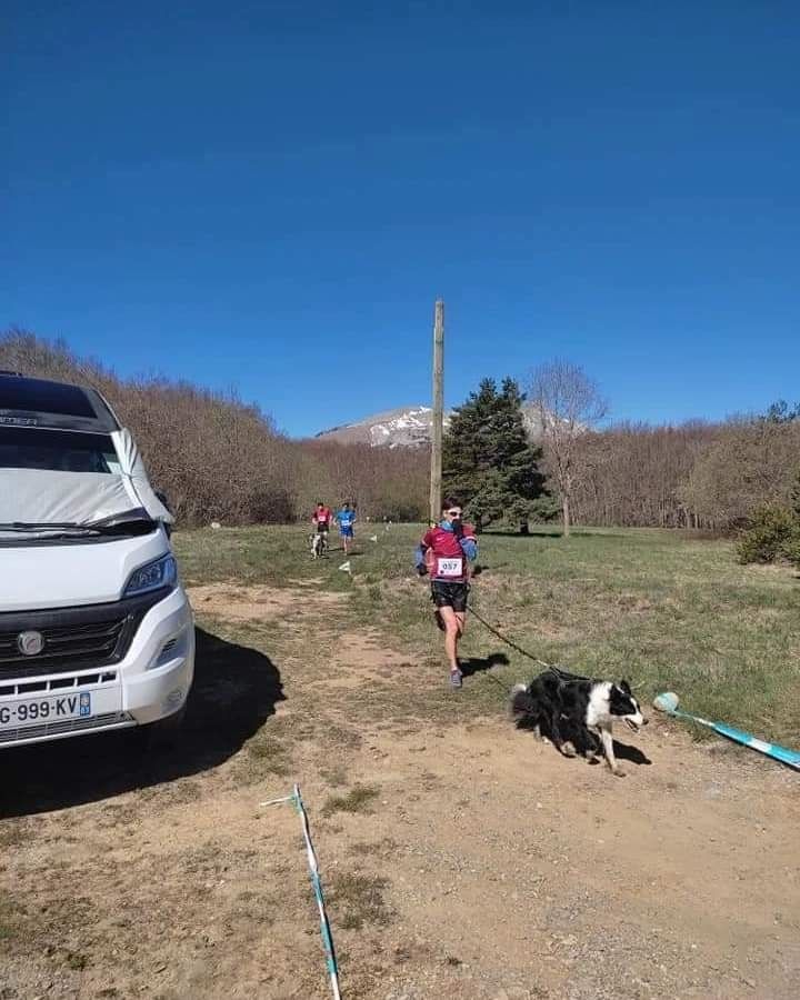 Overcome des Crocs de Provence