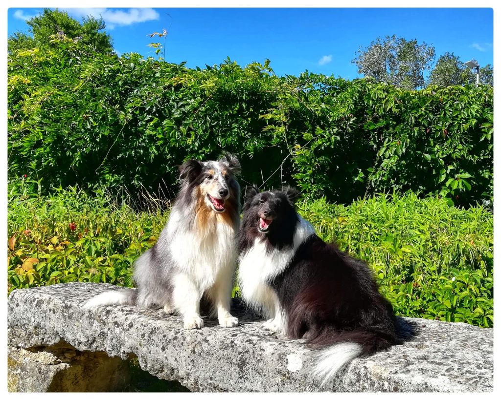 Idylle noire des Crocs de Provence