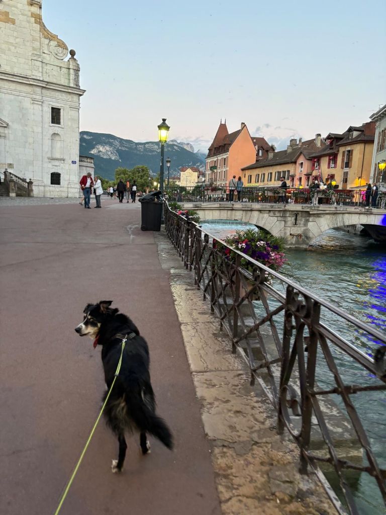 F'bonnie dite fidge des Crocs de Provence