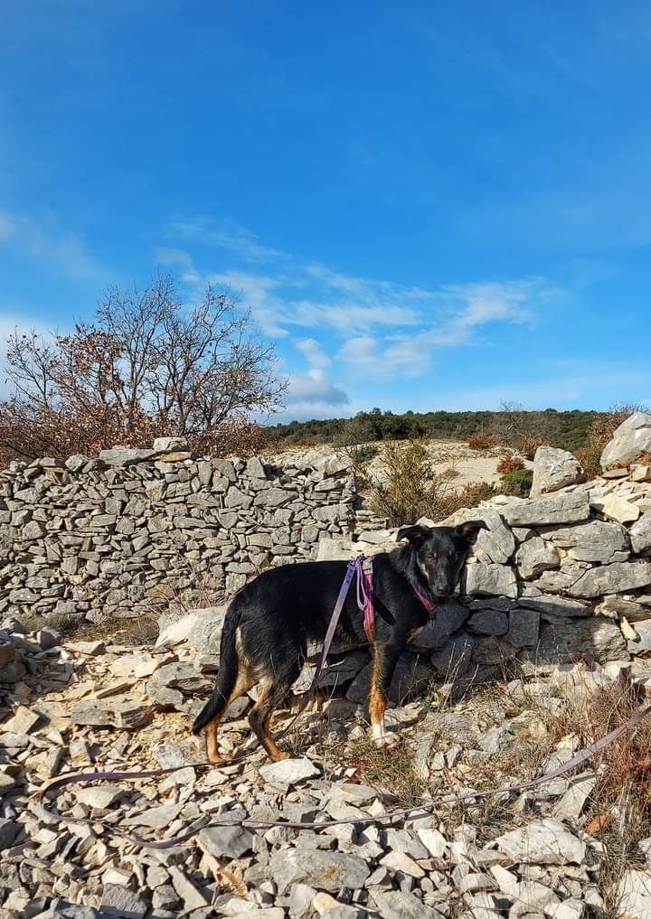 Sao des Crocs de Provence