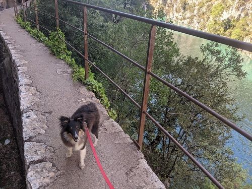 Super rocky brun des Crocs de Provence