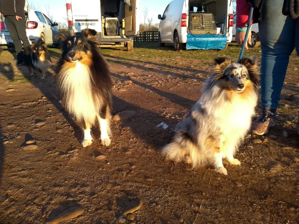 Olga papillon bleue des Crocs de Provence