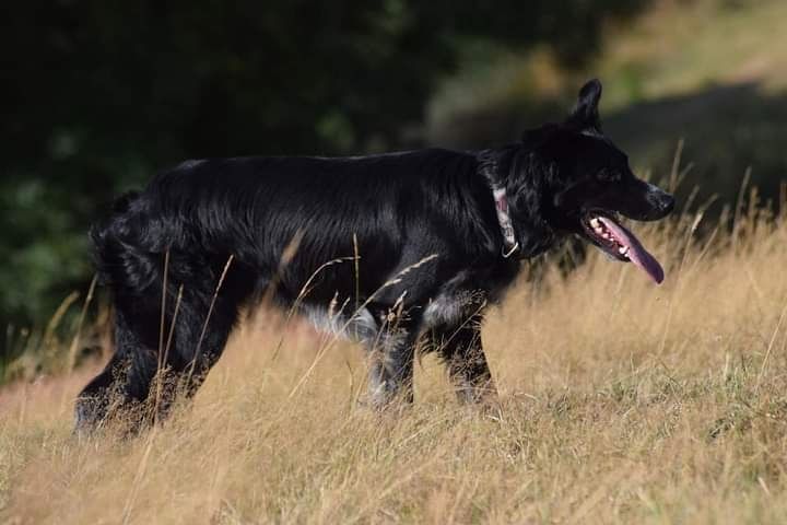 Occhiolino des Crocs de Provence