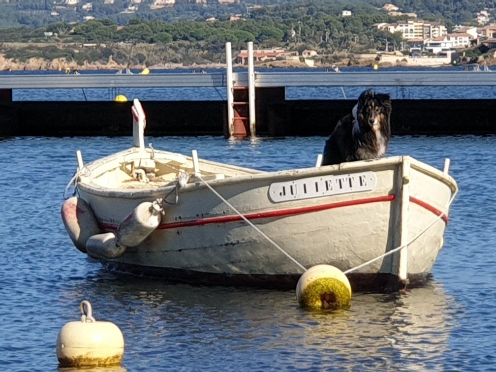 Haîku brune des Crocs de Provence