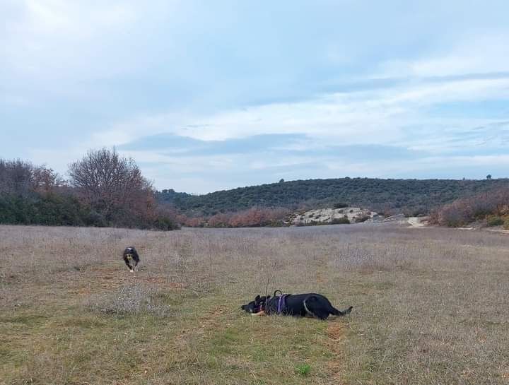 Sao des Crocs de Provence