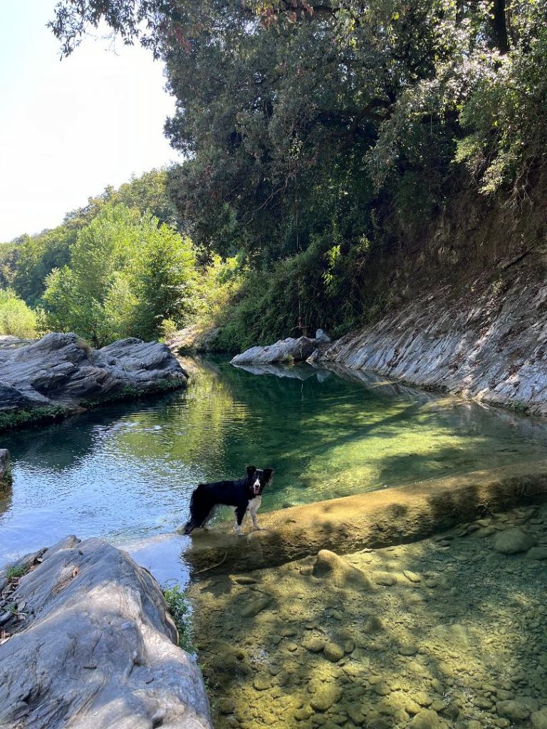 Safari des Crocs de Provence