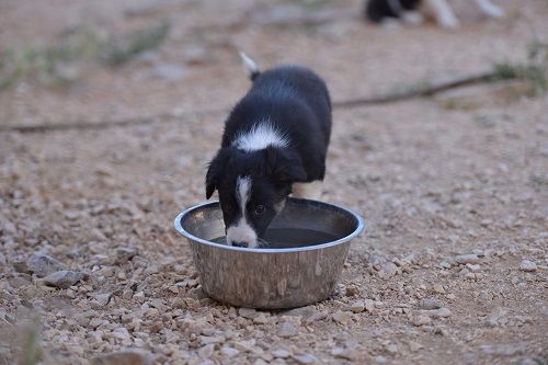 No limit des Crocs de Provence