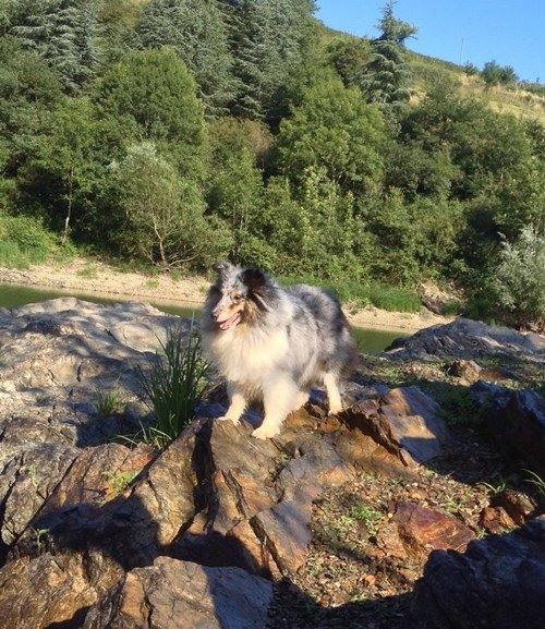 First lady la bleue des Crocs de Provence