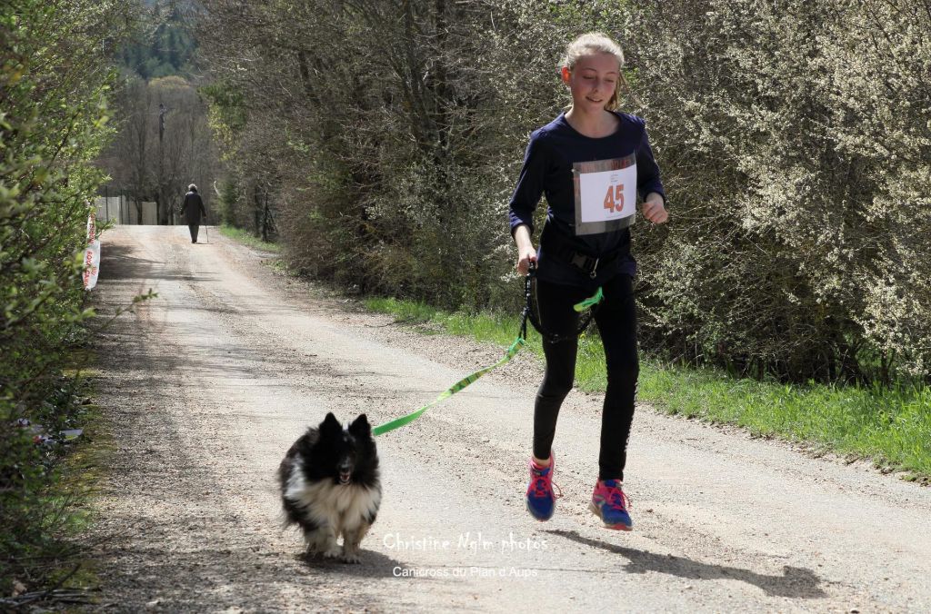 Idylle noire des Crocs de Provence